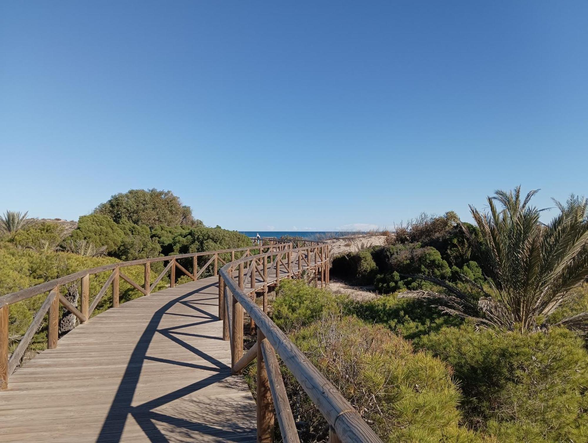 Bonito Apartamento 150 M De La Playa La Mata La Mata  Kültér fotó