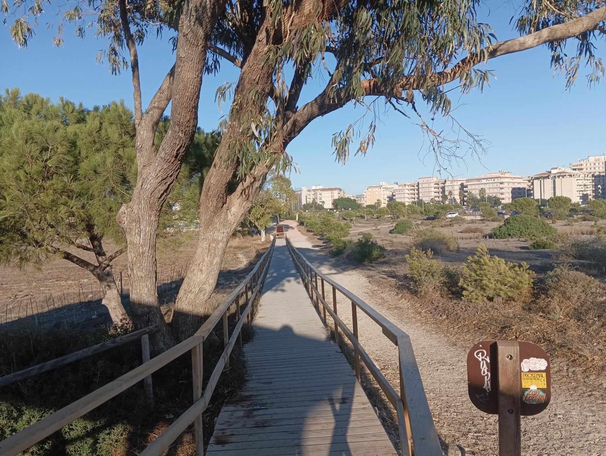 Bonito Apartamento 150 M De La Playa La Mata La Mata  Kültér fotó
