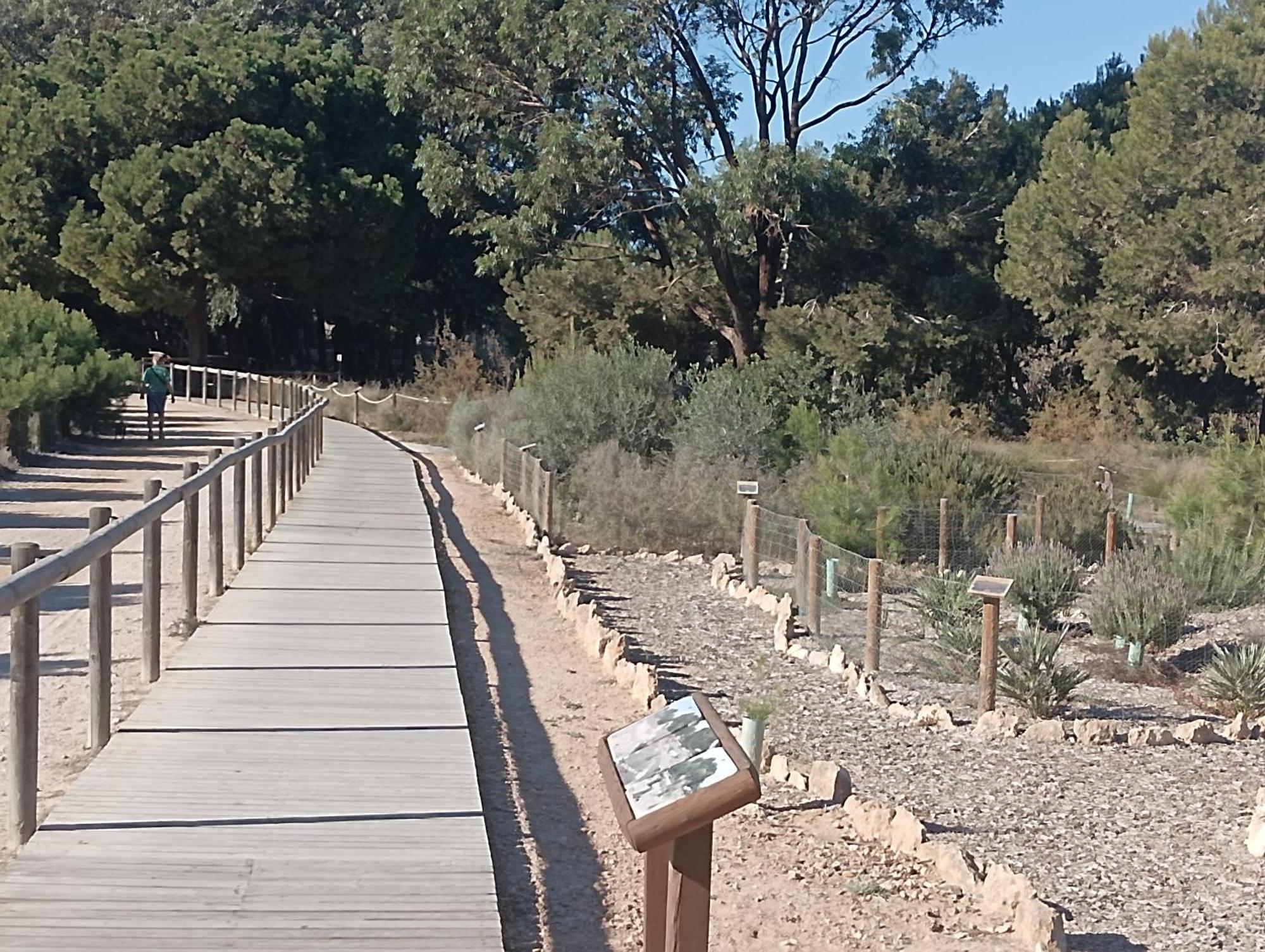 Bonito Apartamento 150 M De La Playa La Mata La Mata  Kültér fotó