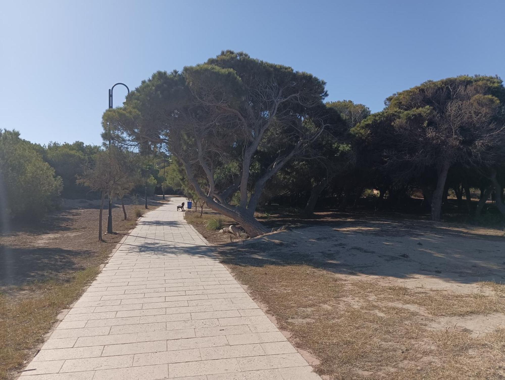 Bonito Apartamento 150 M De La Playa La Mata La Mata  Kültér fotó