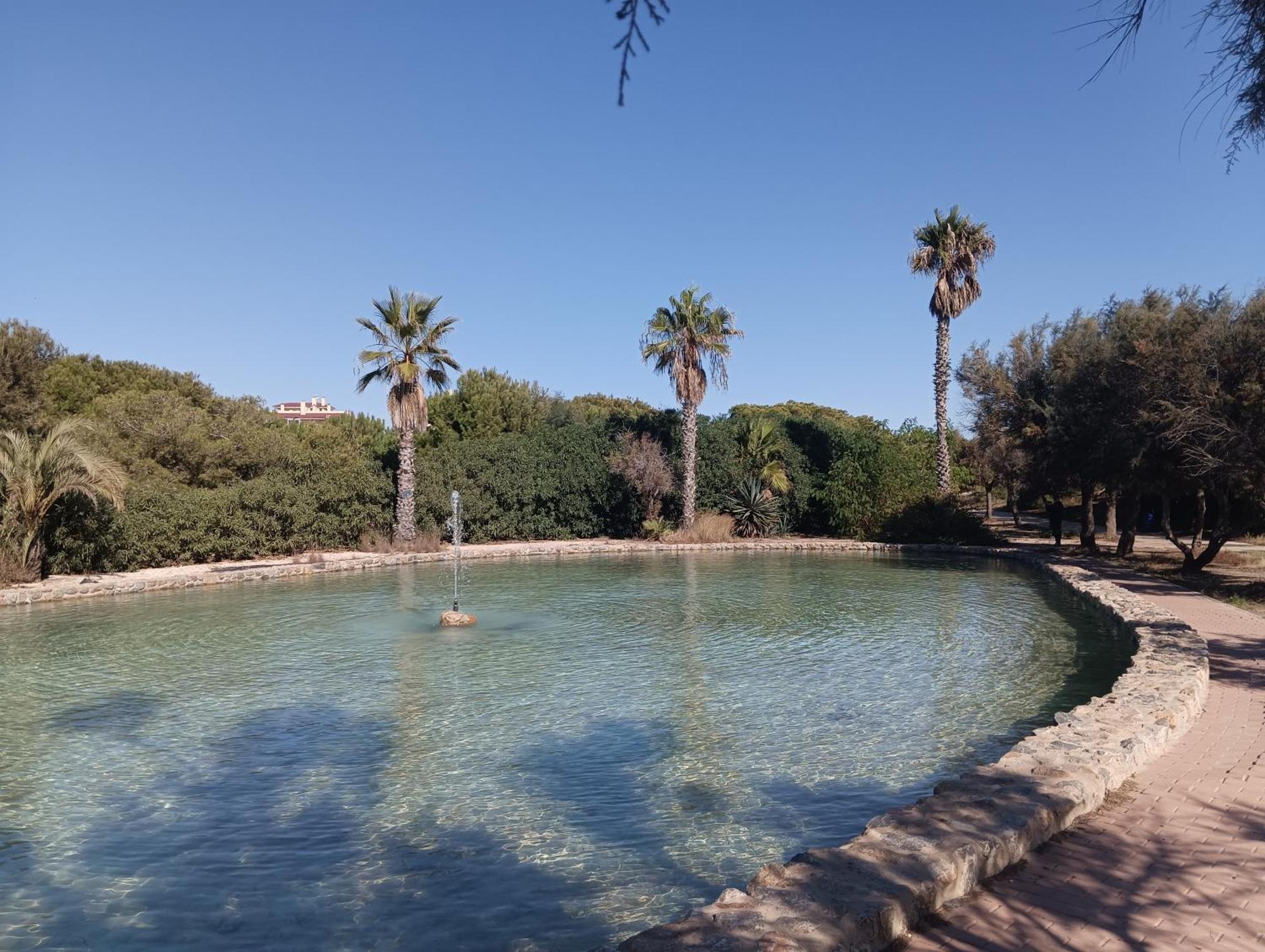 Bonito Apartamento 150 M De La Playa La Mata La Mata  Kültér fotó